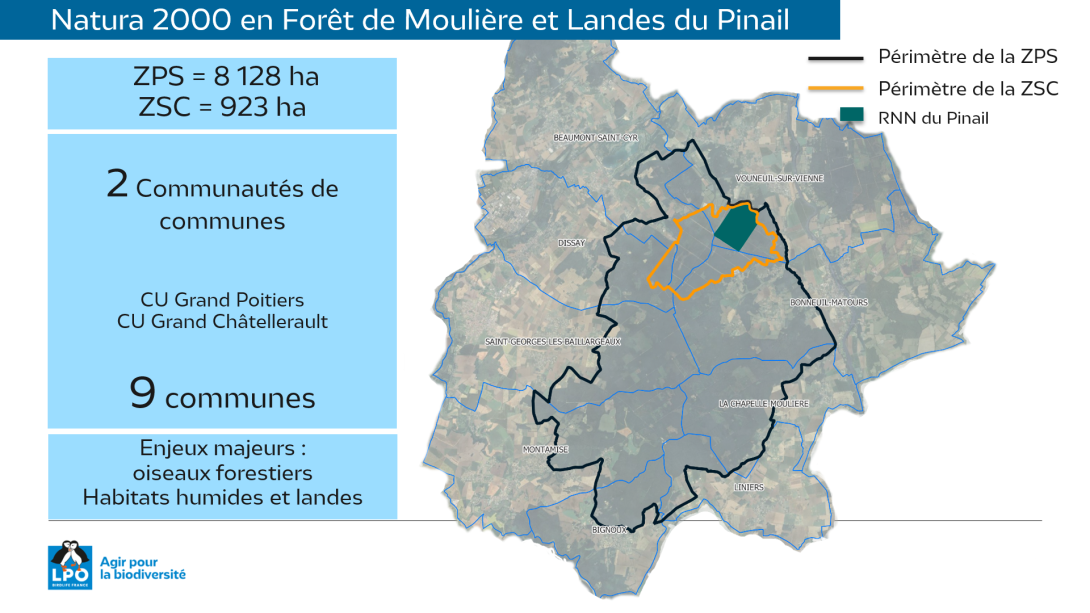 carte des communes situées dans la ZPS